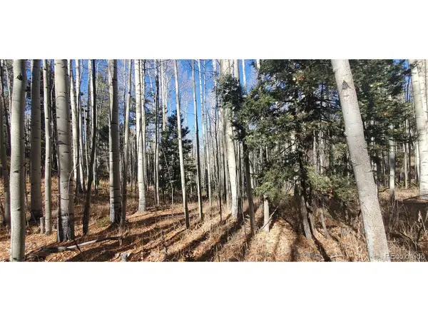 6060 Forbes, San Luis, CO 81152