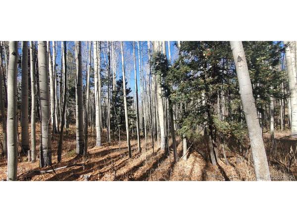 6060 Forbes, San Luis, CO 81152