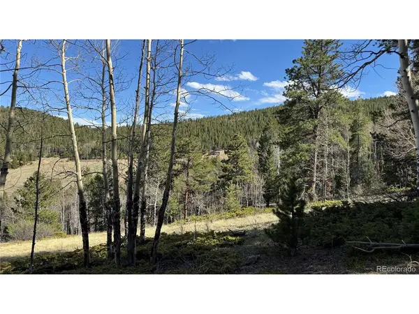 5 Church Placer, Central City, CO 80427