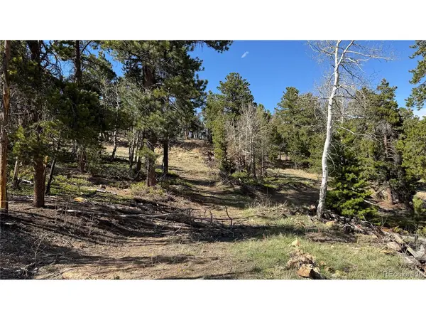 5 Church Placer, Central City, CO 80427