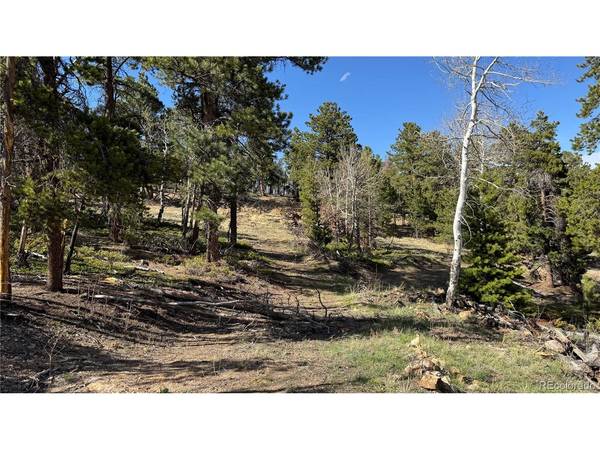 5 Church Placer, Central City, CO 80427