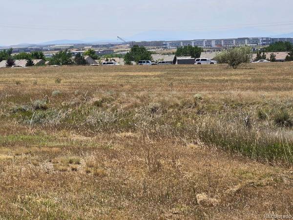 Foxfield, CO 80016