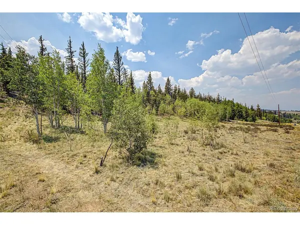 360 Palomino, Jefferson, CO 80456