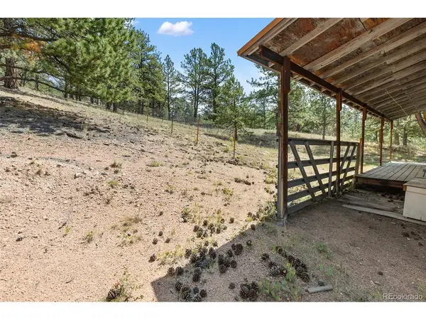 272 Spring Valley, Florissant, CO 80816