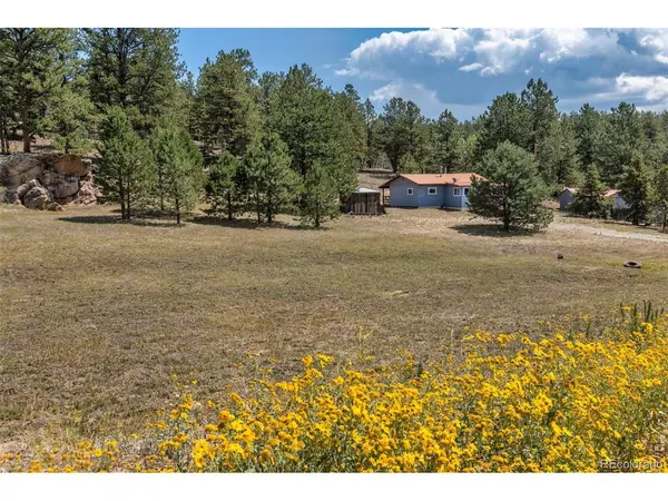 272 Spring Valley, Florissant, CO 80816