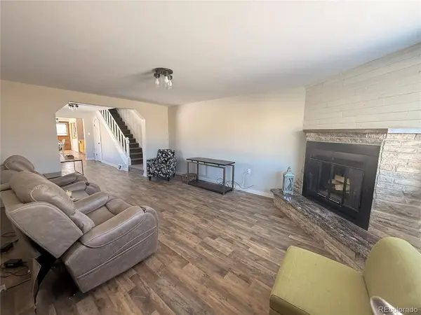 305 Chestnut, Leadville, CO 80461