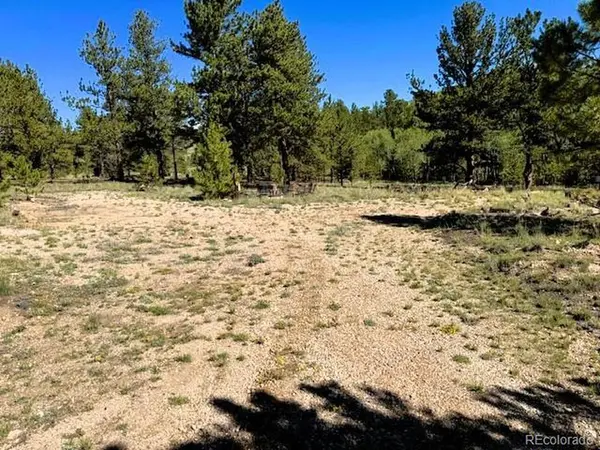126 Zion, Hartsel, CO 80449