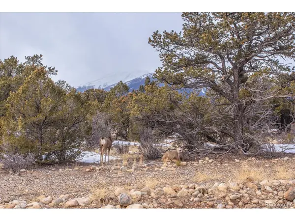29258 Sage, Buena Vista, CO 81211