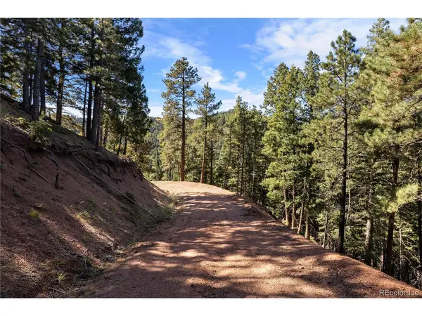 13126 Andiron, Larkspur, CO 80118