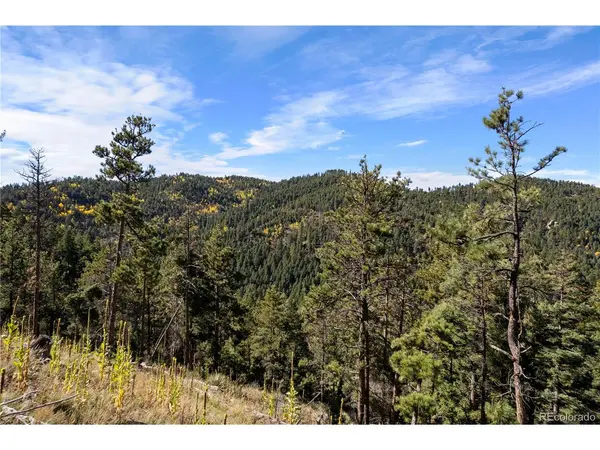 13126 Andiron, Larkspur, CO 80118