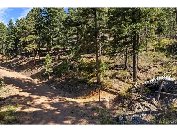 13126 Andiron, Larkspur, CO 80118