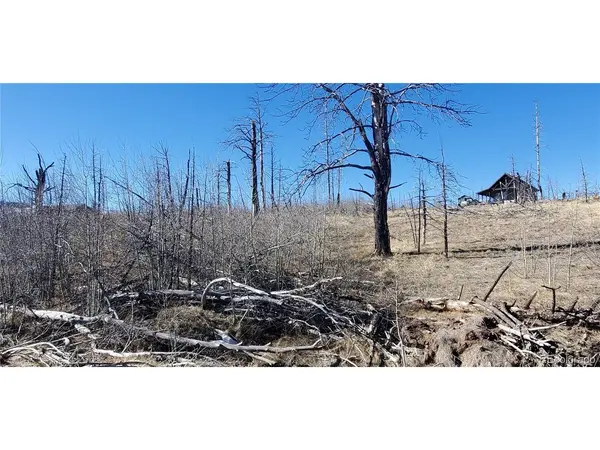 1566 Cary, Fort Garland, CO 81133