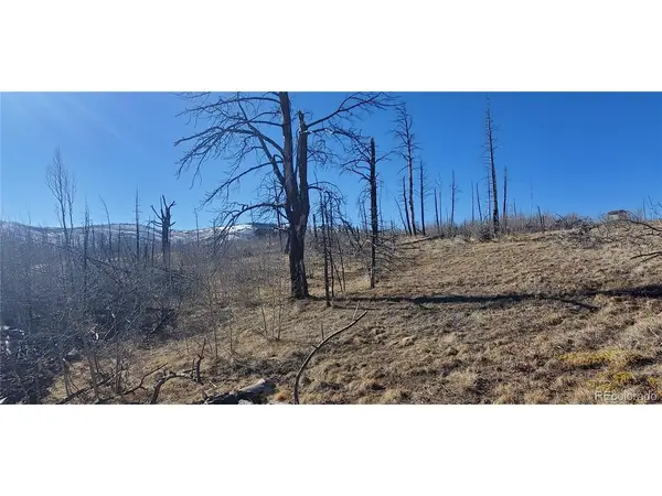 1566 Cary, Fort Garland, CO 81133