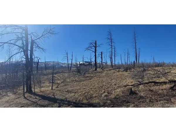 1566 Cary, Fort Garland, CO 81133