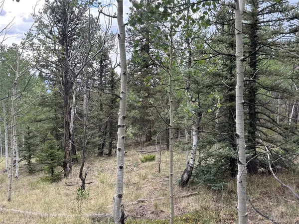 1928 Wells Fargo, Jefferson, CO 80456