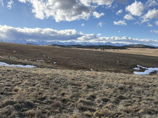 29 Eagle Springs, Westcliffe, CO 81252