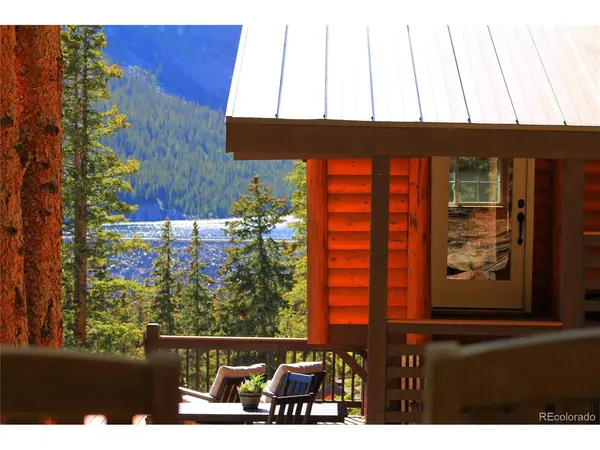 926 Nuthatch, Alma, CO 80420