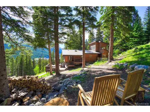 926 Nuthatch, Alma, CO 80420