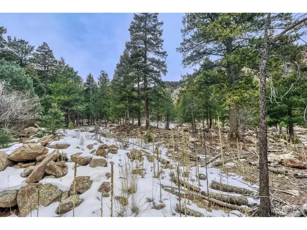 Rock Ridge, Palmer Lake, CO 80133