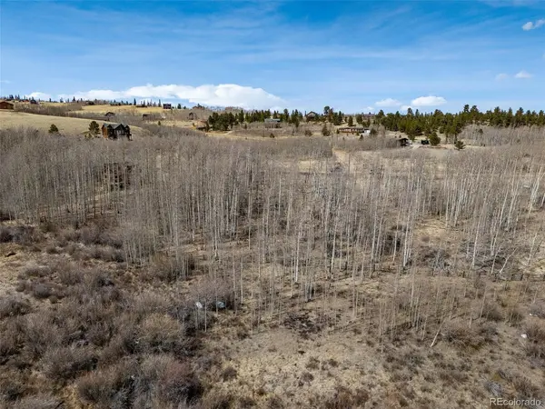 1555 Sheep Ridge, Fairplay, CO 80440
