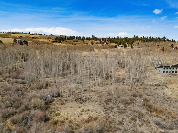 1555 Sheep Ridge, Fairplay, CO 80440