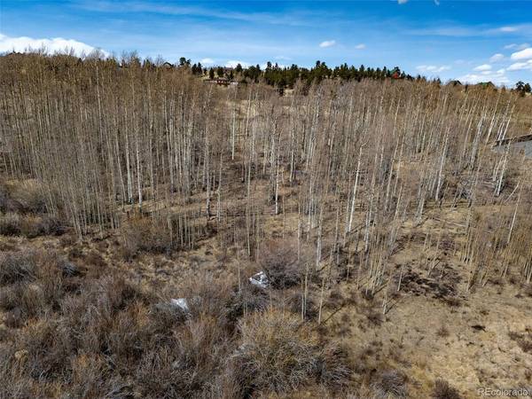 1555 Sheep Ridge, Fairplay, CO 80440