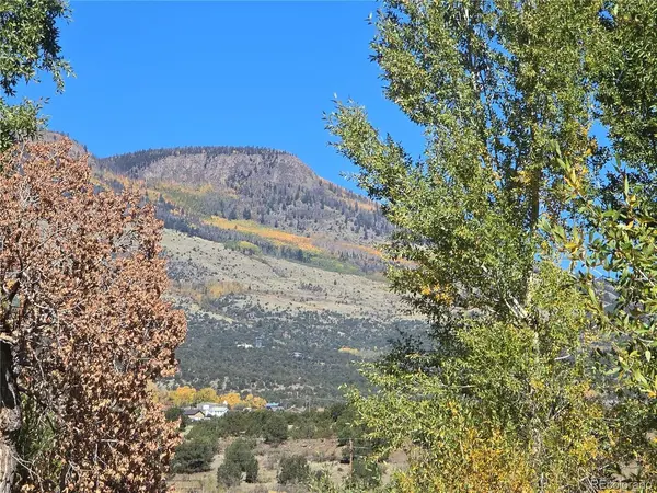 1862 River Island, South Fork, CO 81154