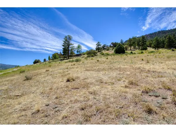 472 Rio Grande Club, South Fork, CO 81154