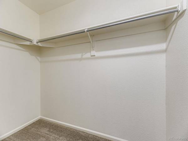 3781 Morning Glory, Castle Rock, CO 80109