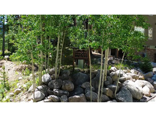 121 Elk #6, Winter Park, CO 80482