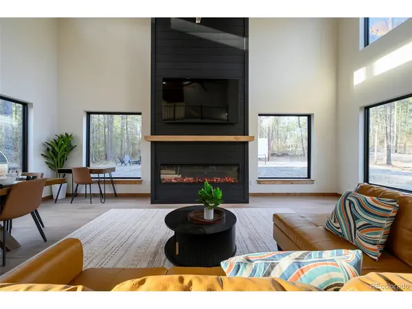 3538 High Creek, Fairplay, CO 80440