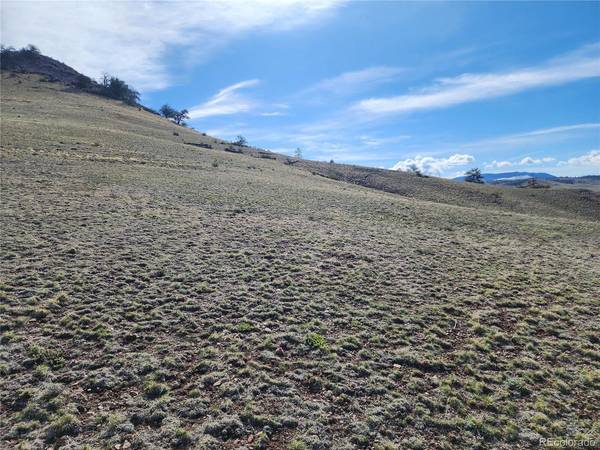 558 Chickadee, Hartsel, CO 80449