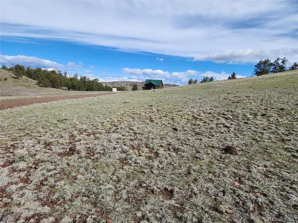 558 Chickadee, Hartsel, CO 80449