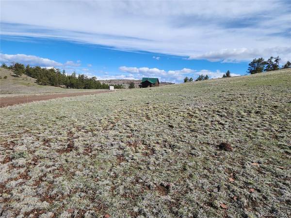 558 Chickadee, Hartsel, CO 80449
