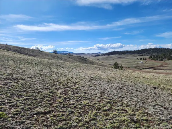 558 Chickadee, Hartsel, CO 80449