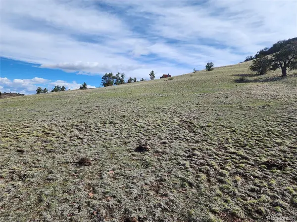 558 Chickadee, Hartsel, CO 80449
