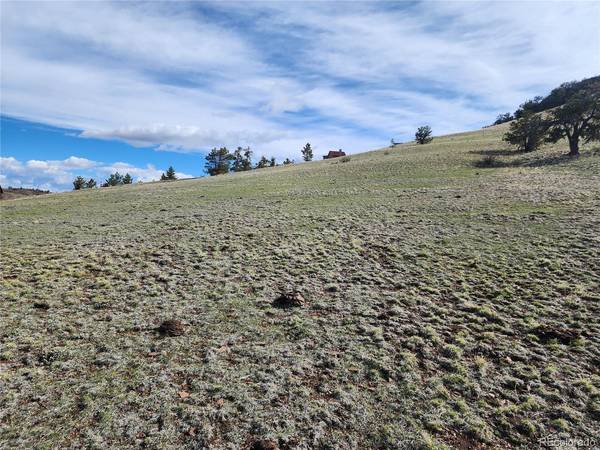 558 Chickadee, Hartsel, CO 80449