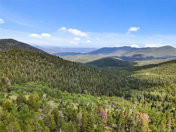 3665 Beaver Brook Canyon, Evergreen, CO 80439