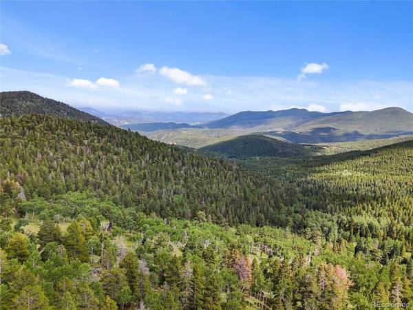 3665 Beaver Brook Canyon, Evergreen, CO 80439