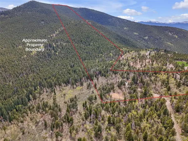 3665 Beaver Brook Canyon, Evergreen, CO 80439