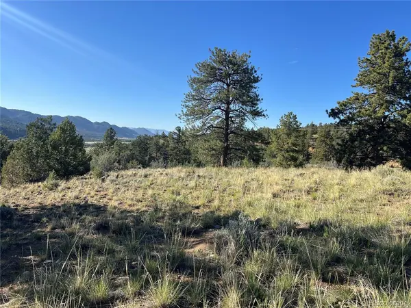 18322 S Lake, Buena Vista, CO 81211