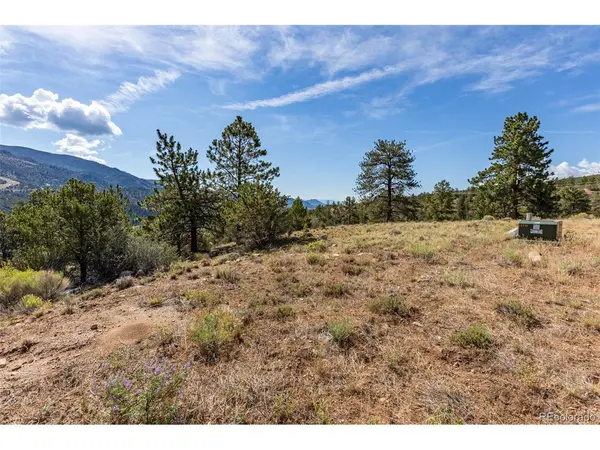 18322 S Lake, Buena Vista, CO 81211