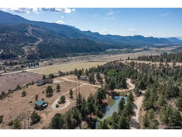 18322 S Lake, Buena Vista, CO 81211