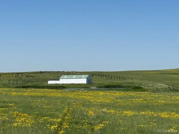 24105 State Highway 86, Ramah, CO 80832