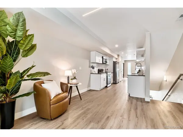 1642 N Lafayette #3, Denver, CO 80218