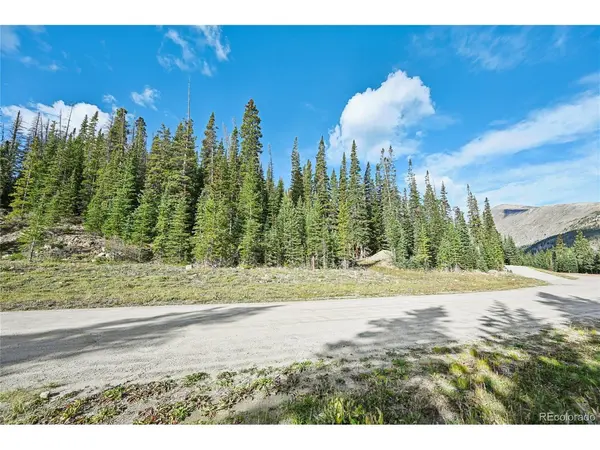159 Hamilton, Breckenridge, CO 80424