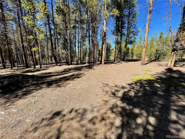 451 Virginia, Leadville, CO 80461