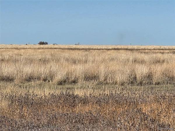 Address not disclosed, Avondale, CO 81022