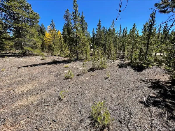 500 Virginia, Leadville, CO 80461