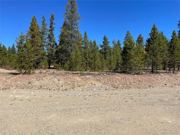 500 Virginia, Leadville, CO 80461
